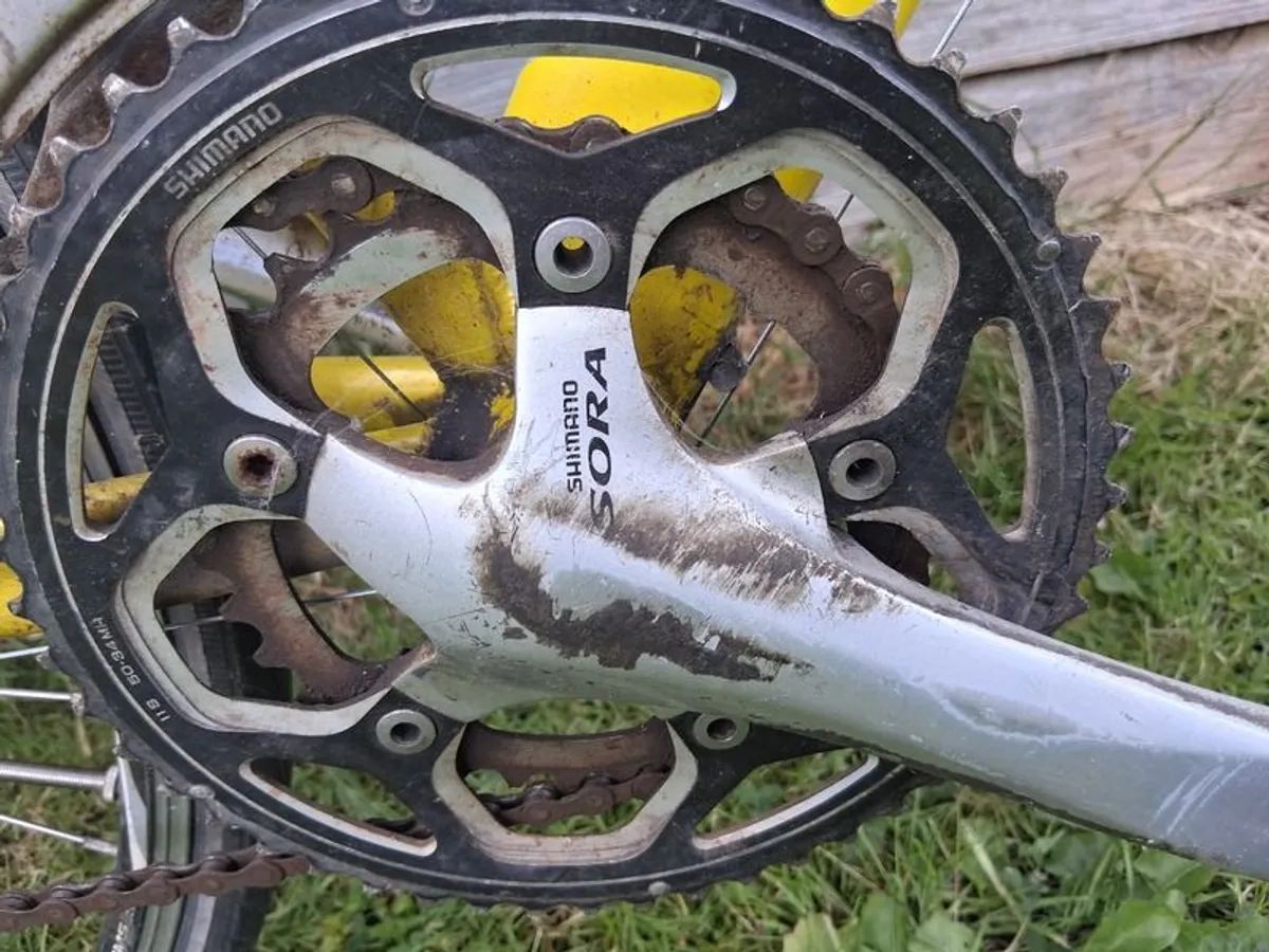 Racing Bike.   Price Drop For Cash Deal - Image 2