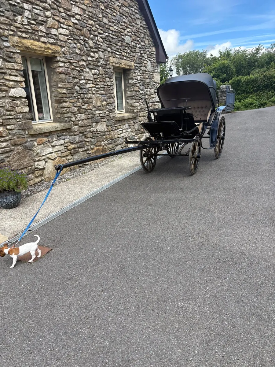 Horse carriages - Image 3