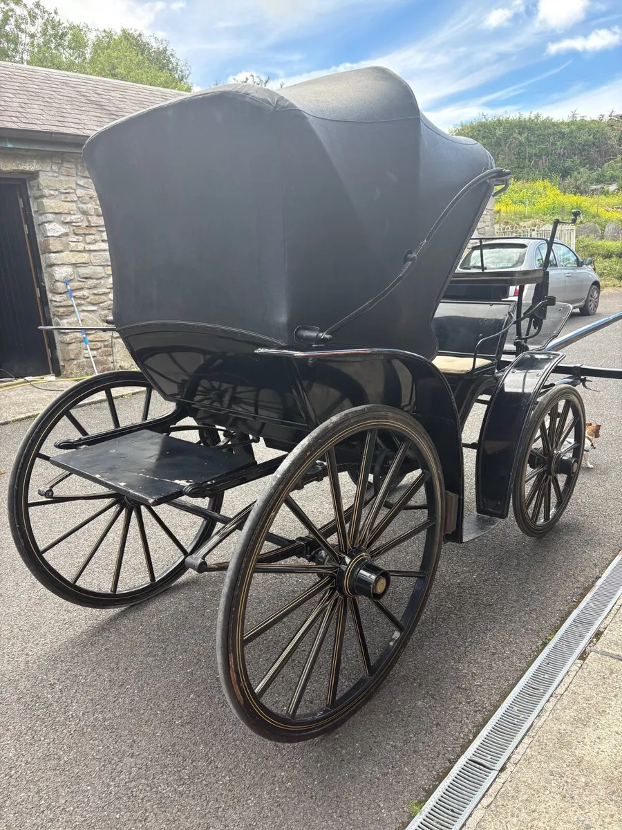 Horse carriages - Image 1