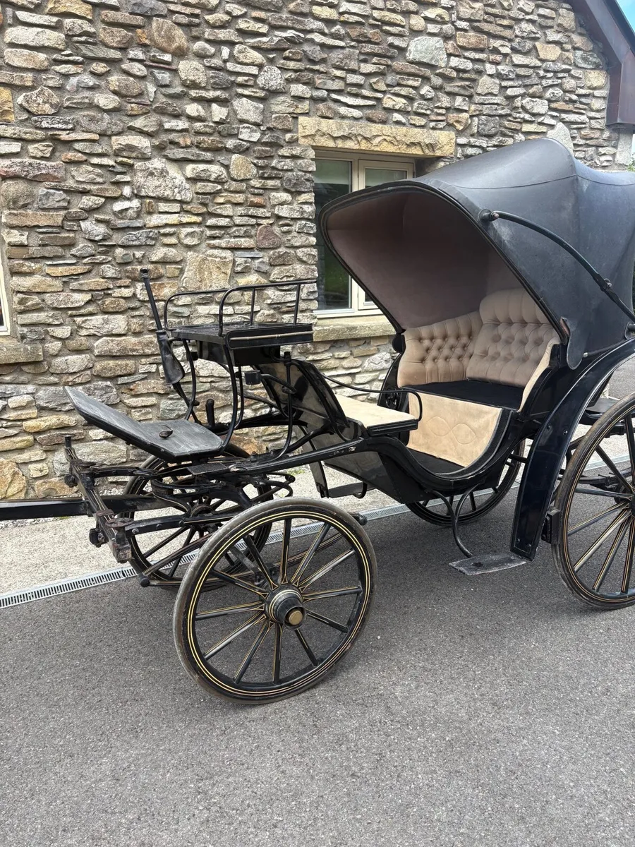 Horse carriages - Image 4