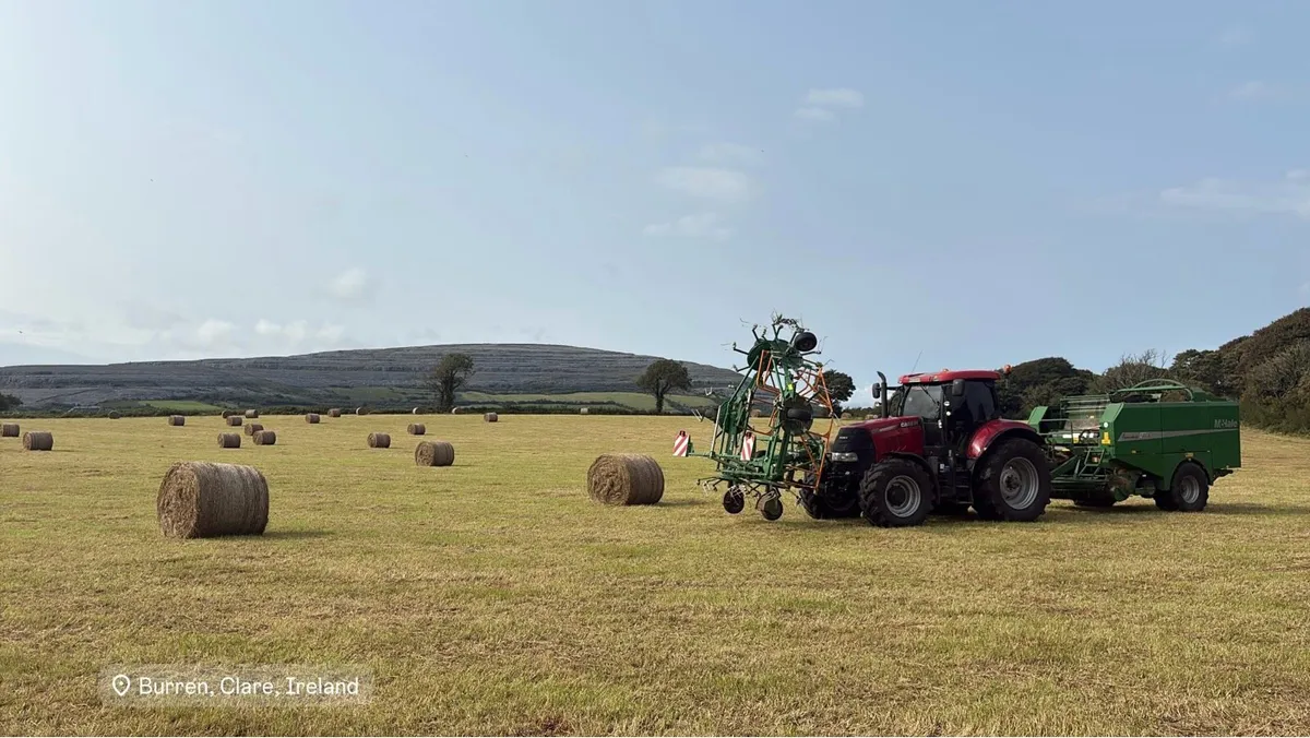 Top Quality Round bales of clean organic hay - Image 2