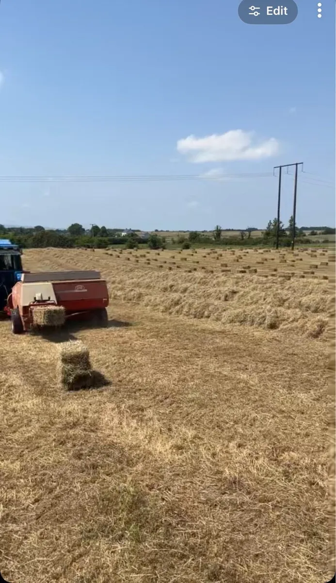 Small square bales hay - Image 1