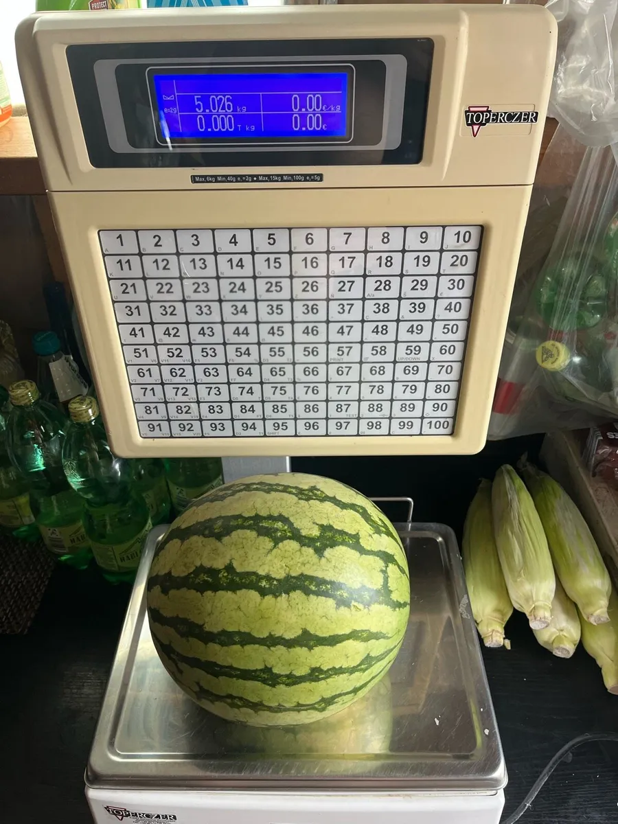 Weighing Scale - Image 1