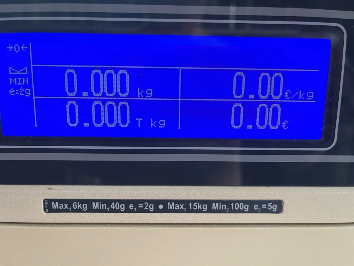 Weighing Scale - Image 2