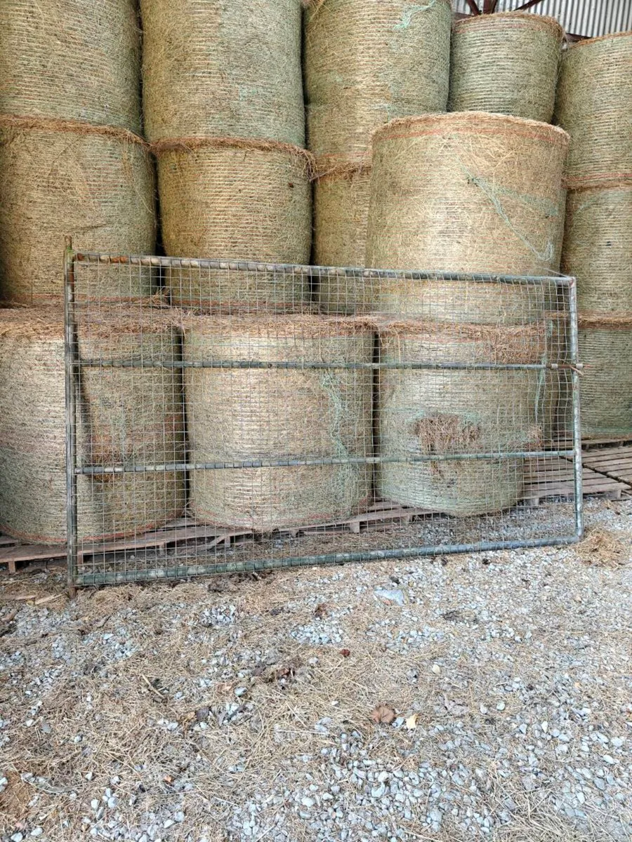 Galvanized Gate (10'x6') - Image 2