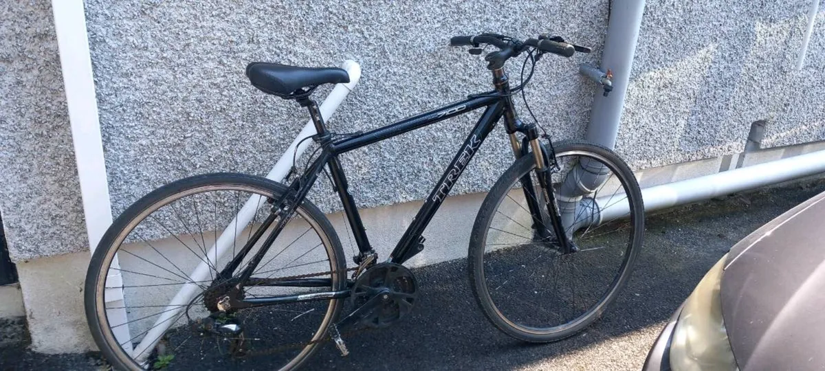 Adult bike