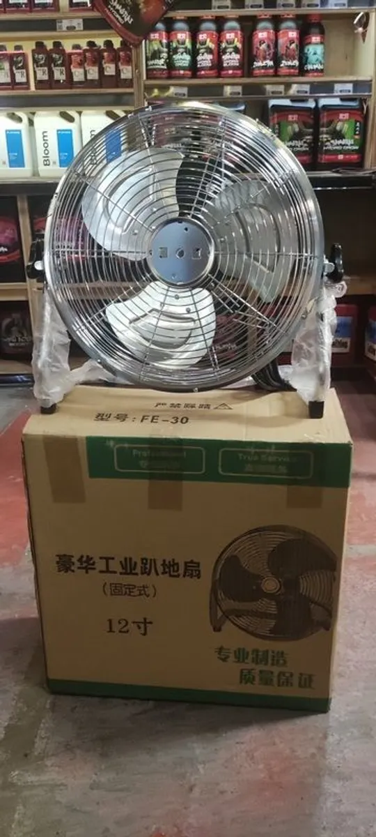 Fan - Image 1