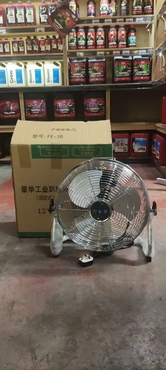 Fan - Image 2