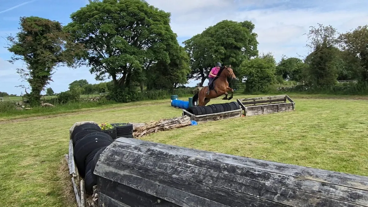 Horse - Image 4