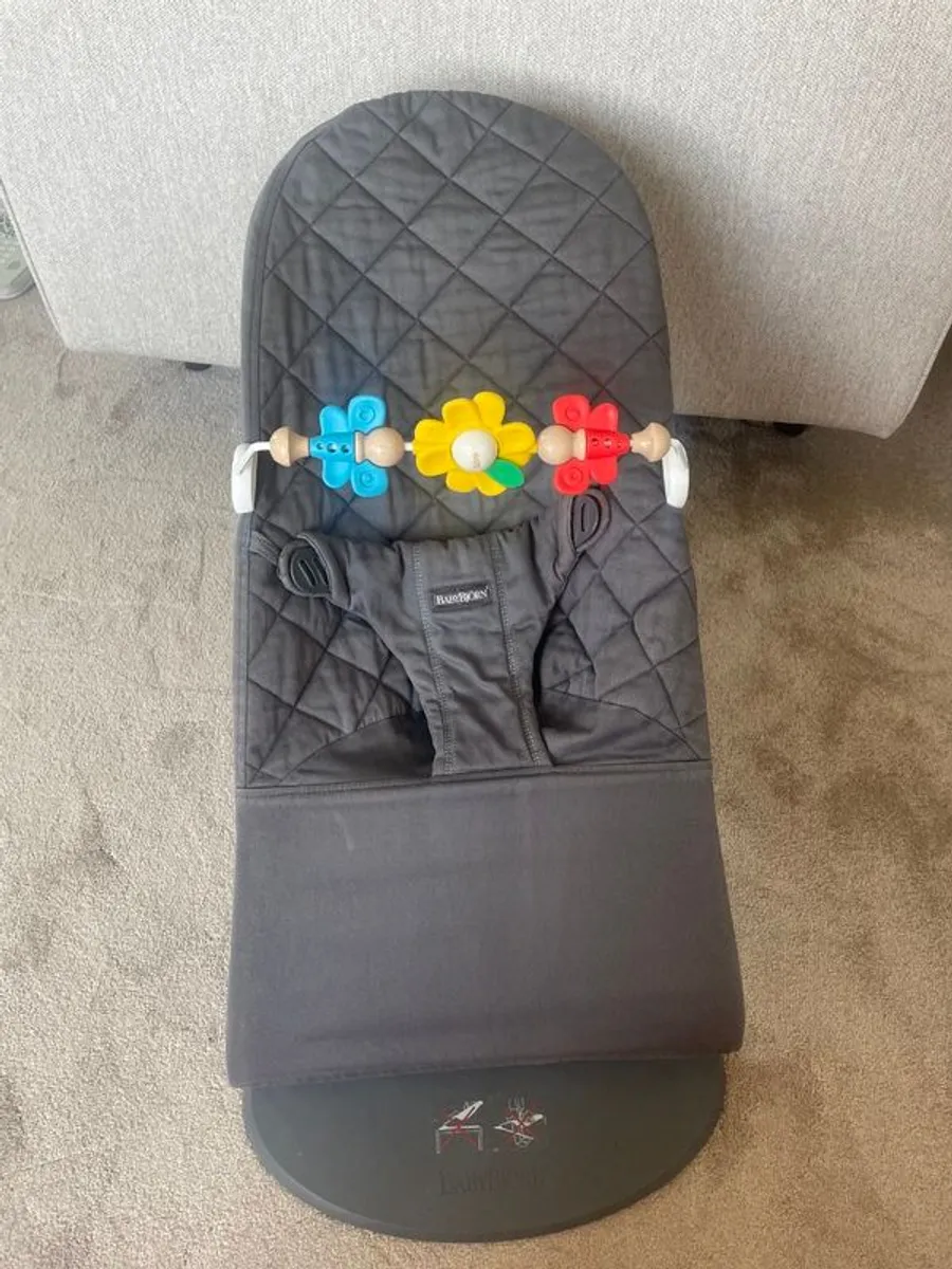Baby Bjorn Dark Grey Bouncer - Image 1
