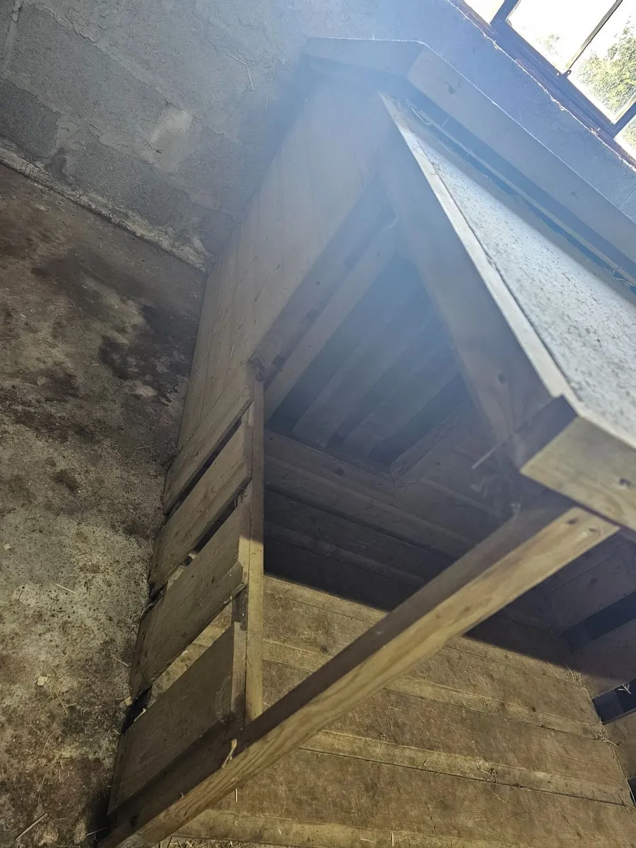 Dog kennel - Image 2