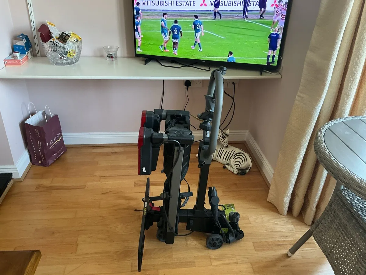 E-bike Carrier - Image 2
