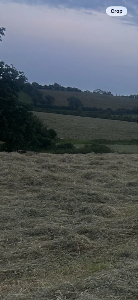 Organic hay