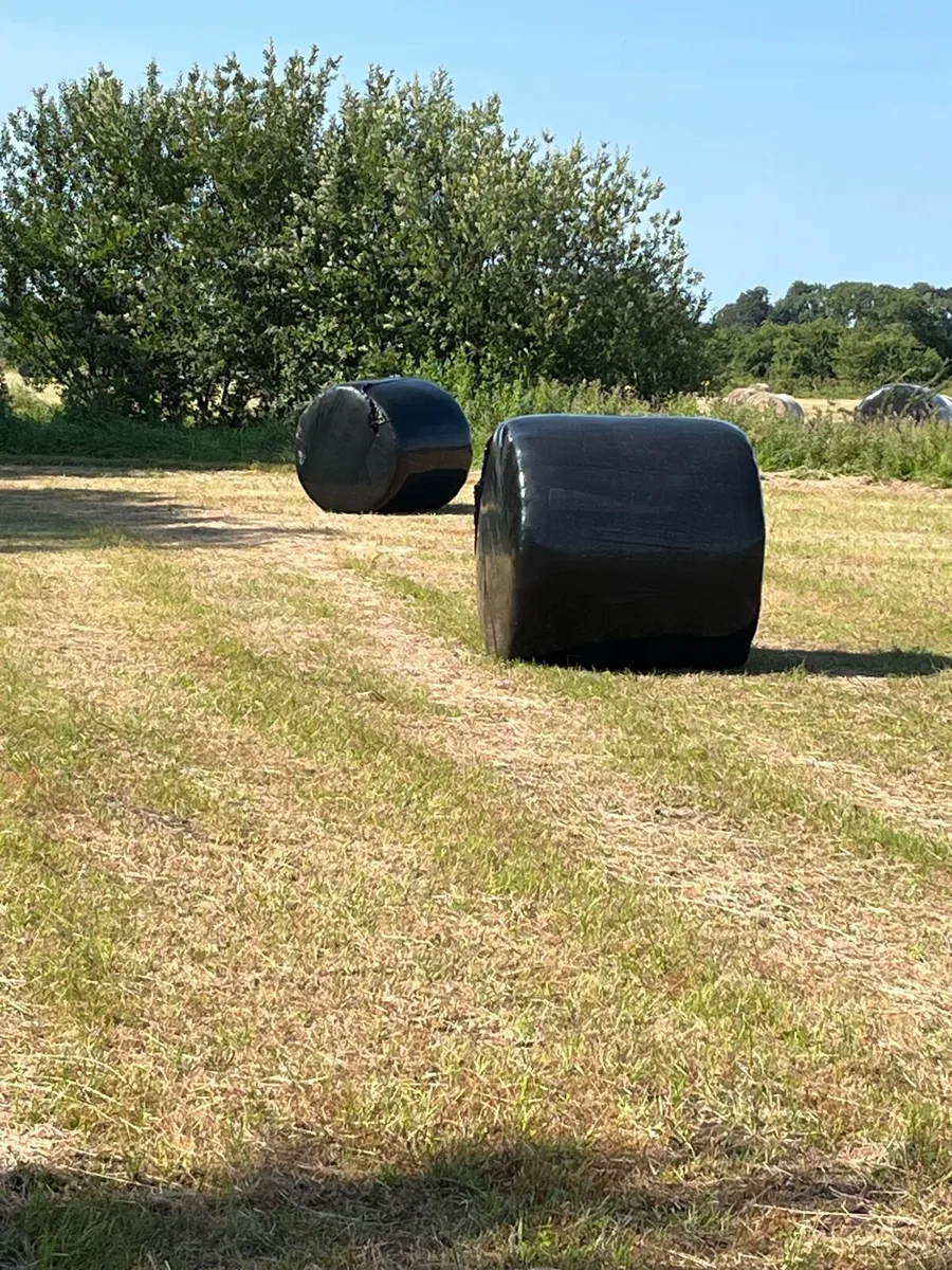 Hay and haylage - Image 4