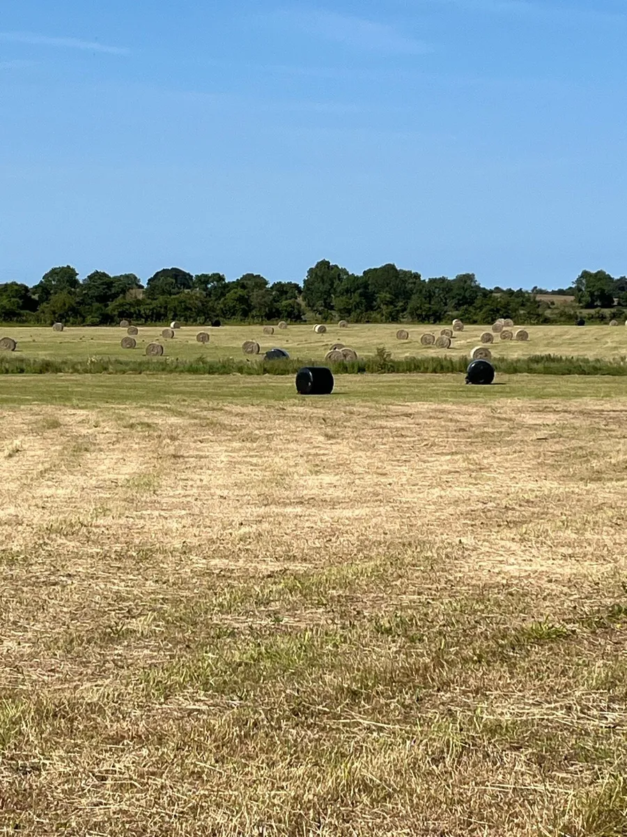 Hay and haylage - Image 3