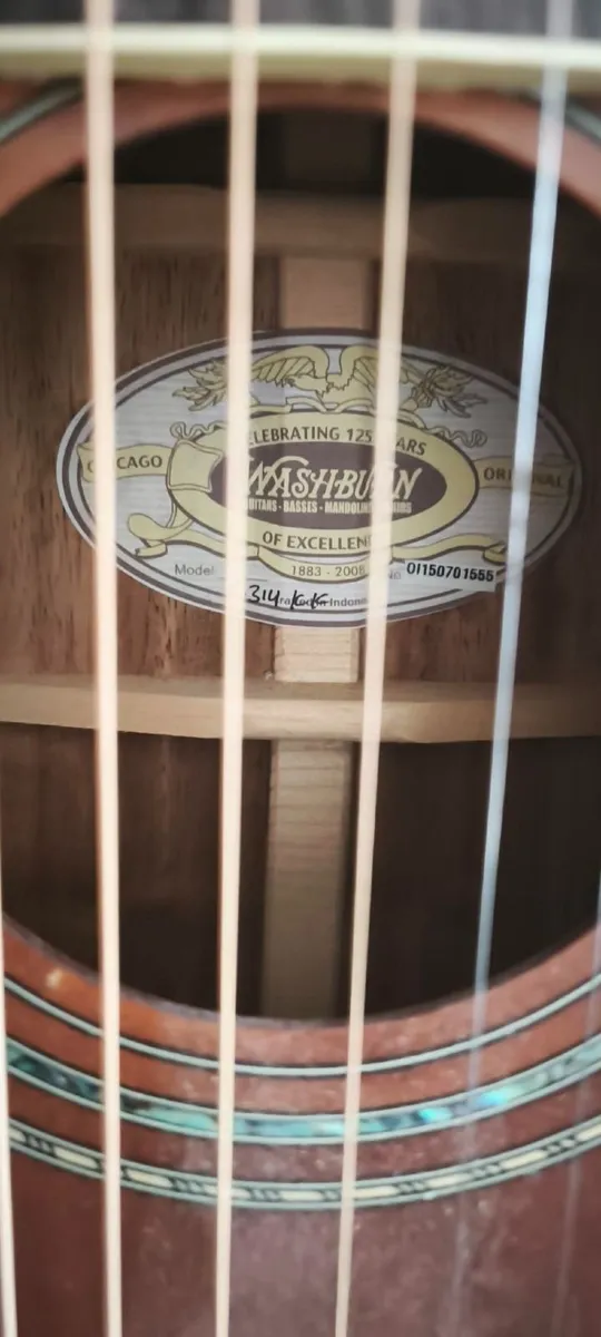 Washburn R314KK Spruce/Trembesi Parlor Guitar - Image 1