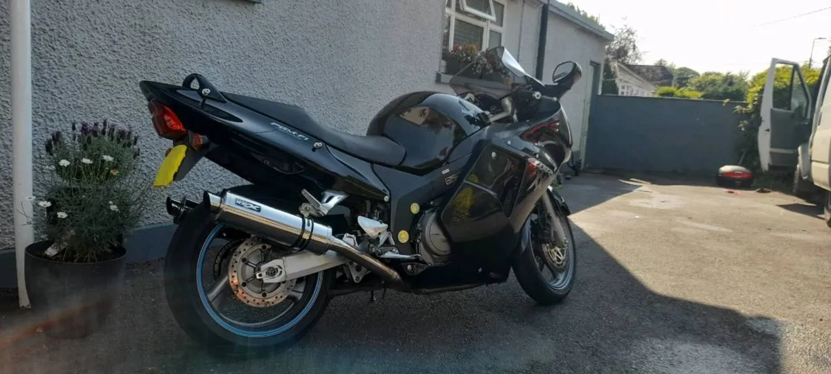 Honda blackbird - Image 1