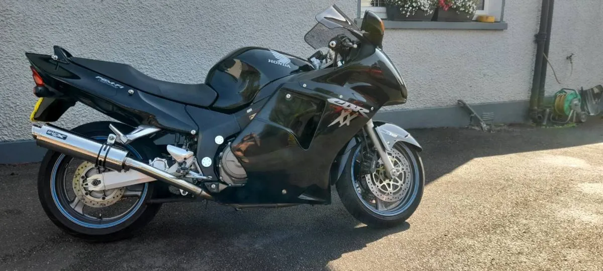 Honda blackbird - Image 2