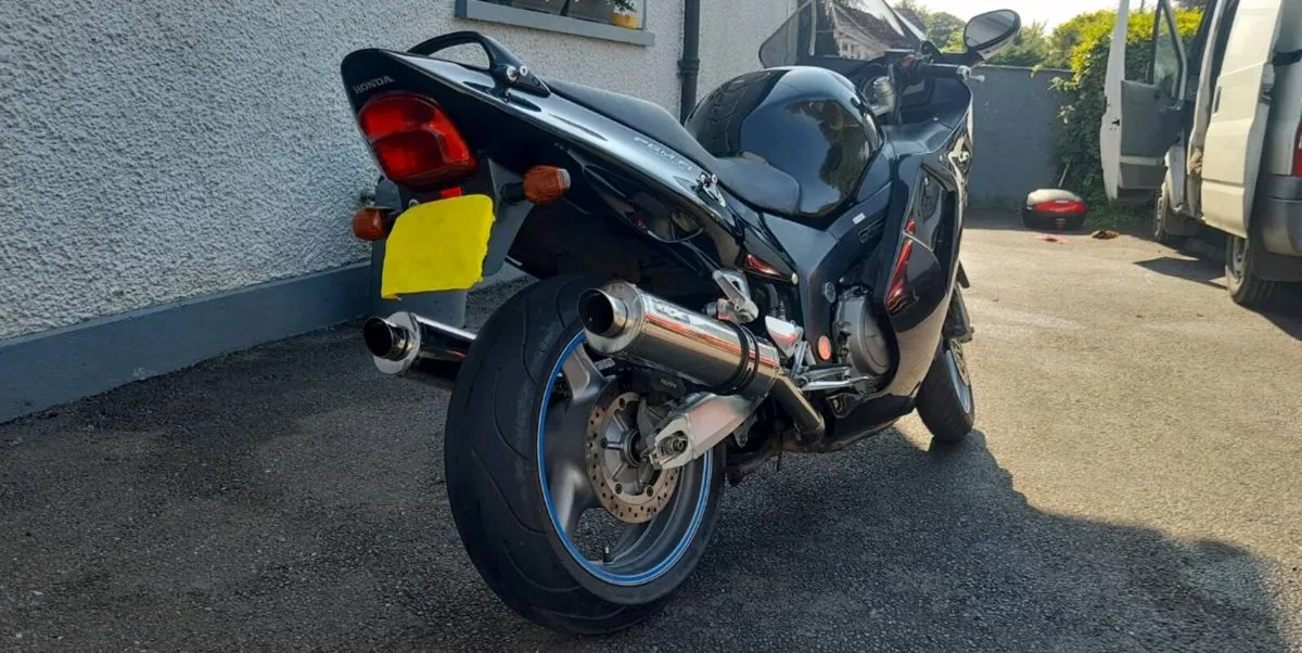 Honda blackbird - Image 3