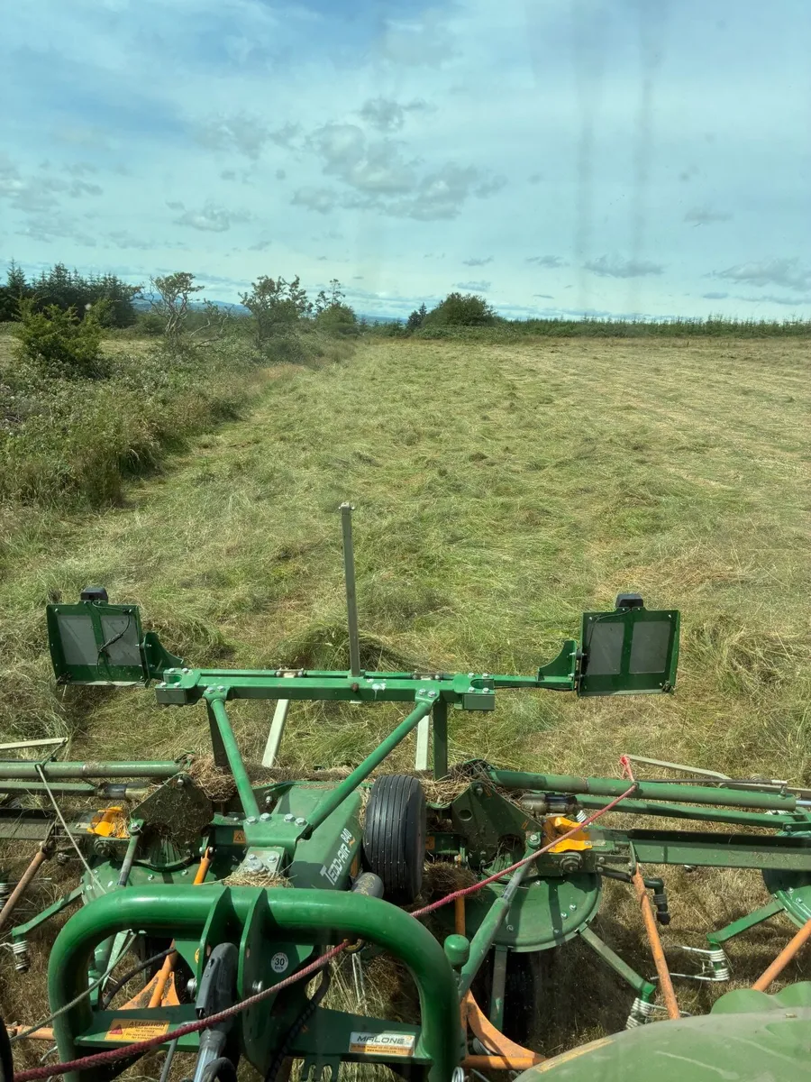 Hay - Image 4
