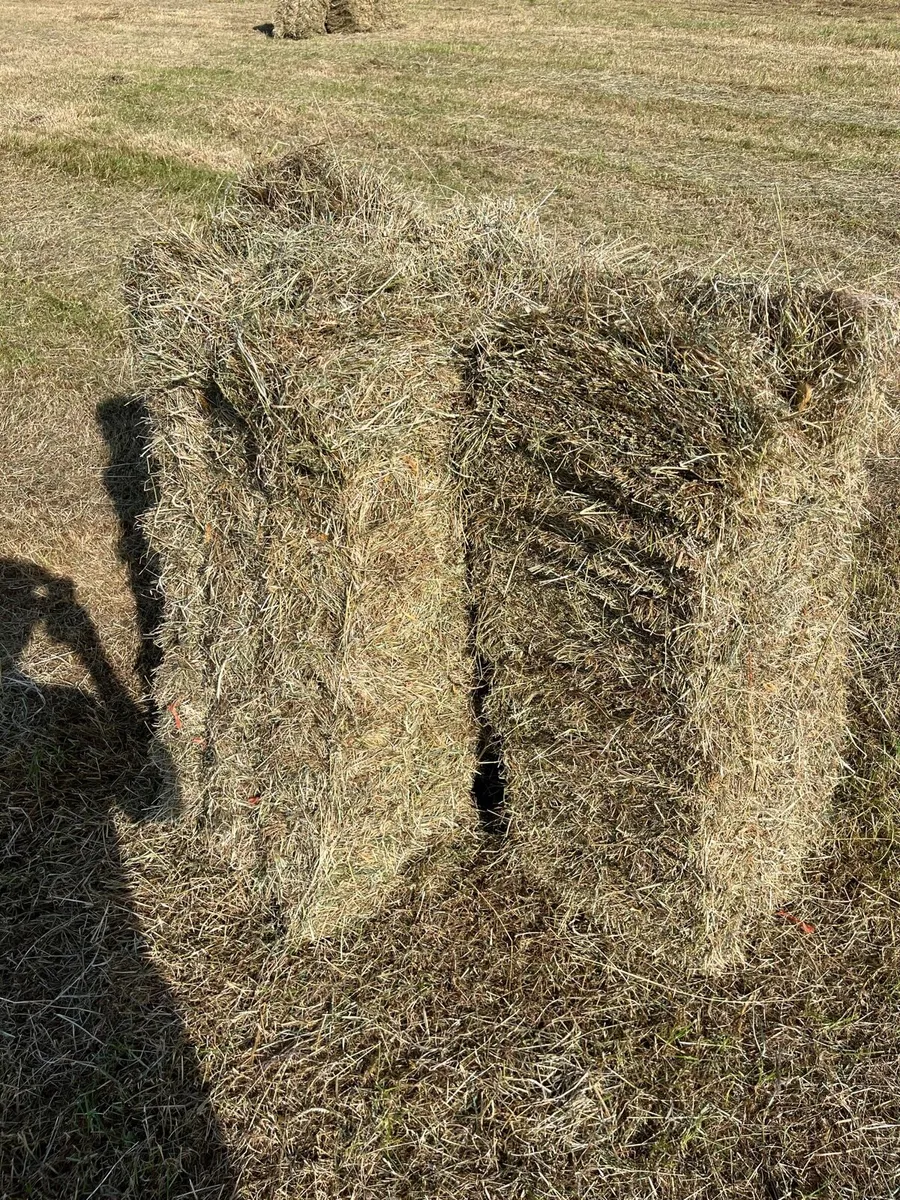 Square hay - Image 1