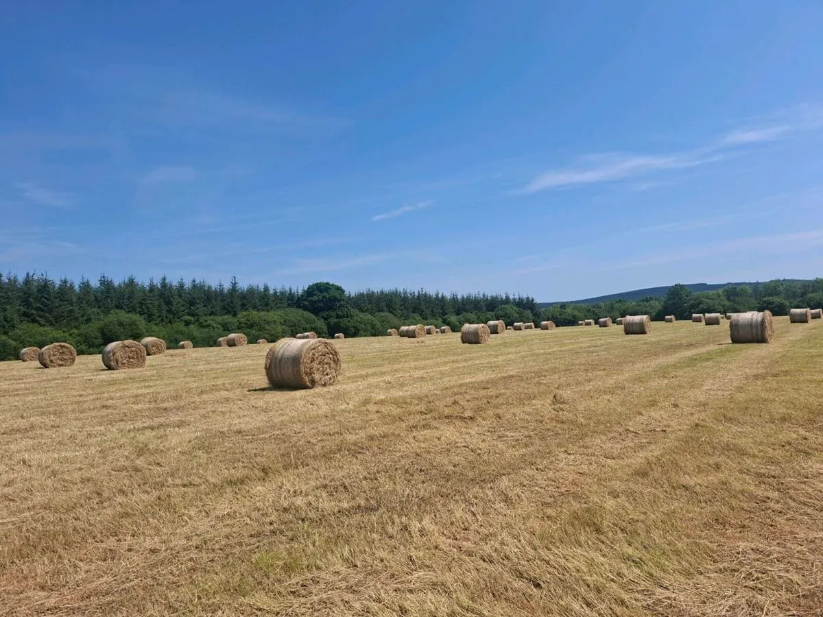 Hay bales - Image 2