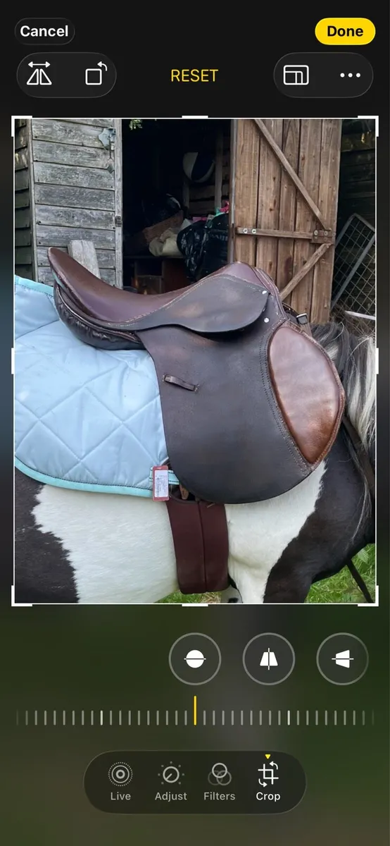 Saddle and bits - Image 3