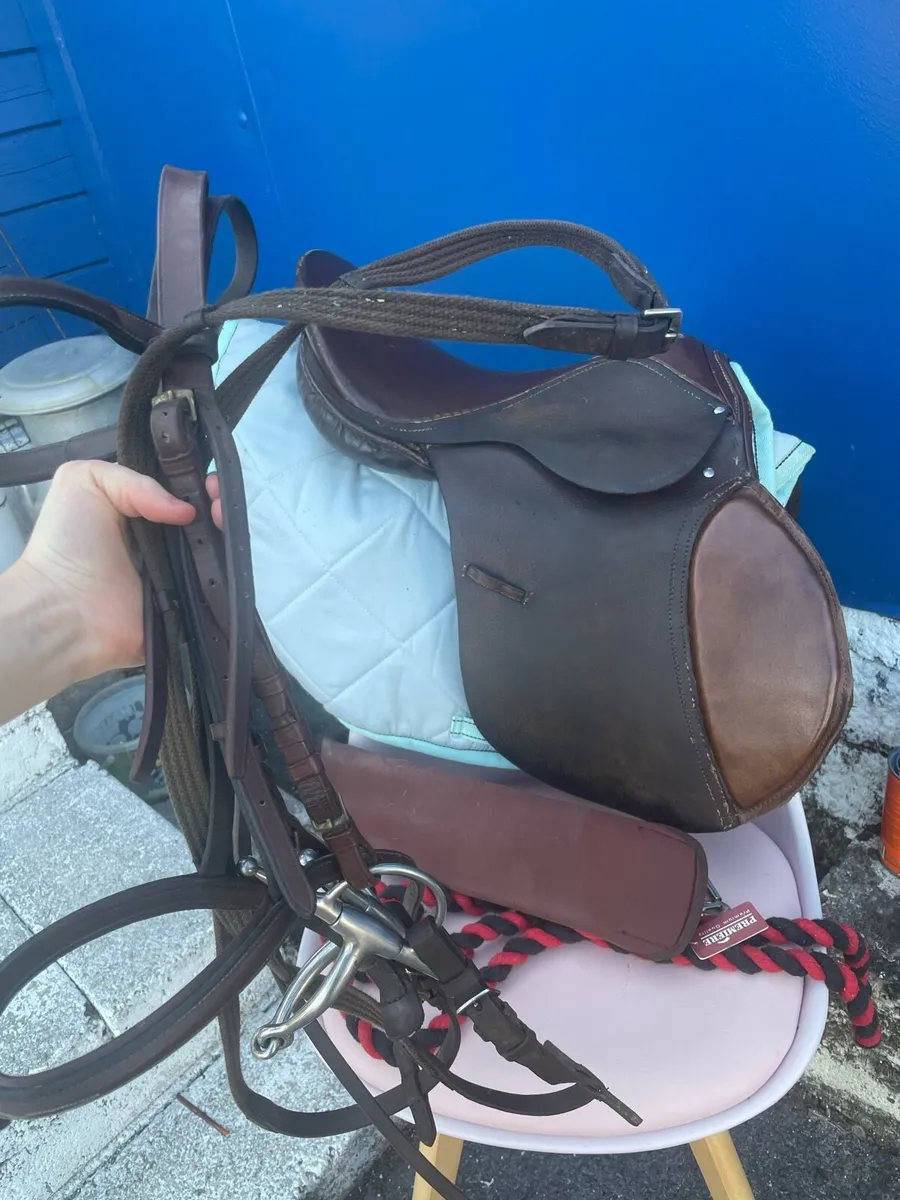 Saddle and bits - Image 1