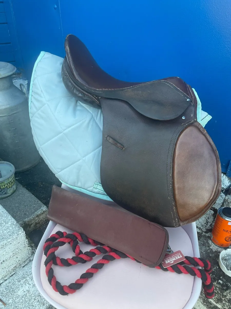 Saddle and bits - Image 2