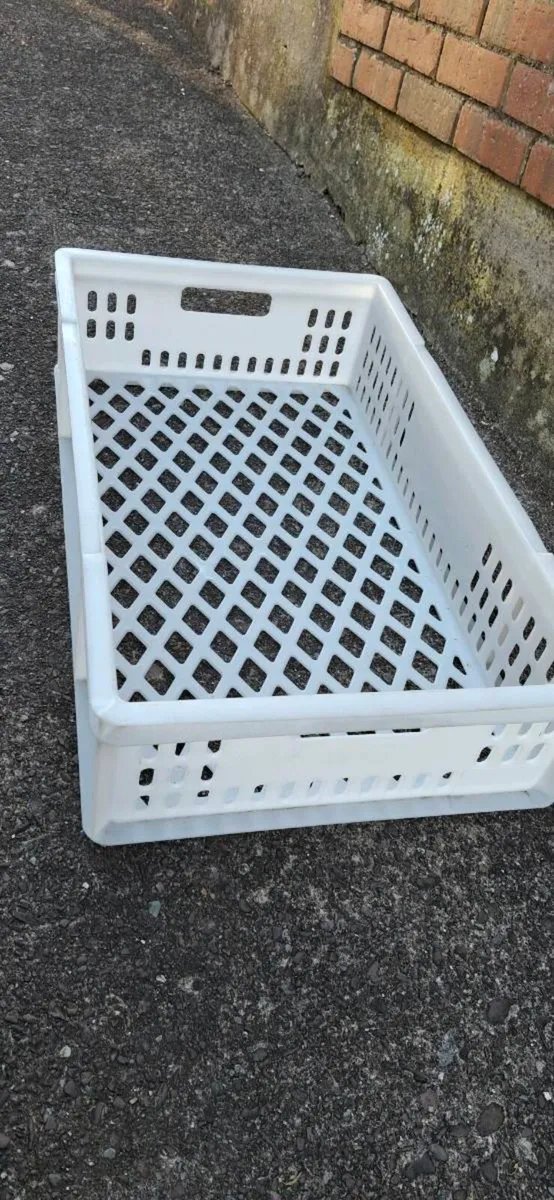 Catering trays - Image 1