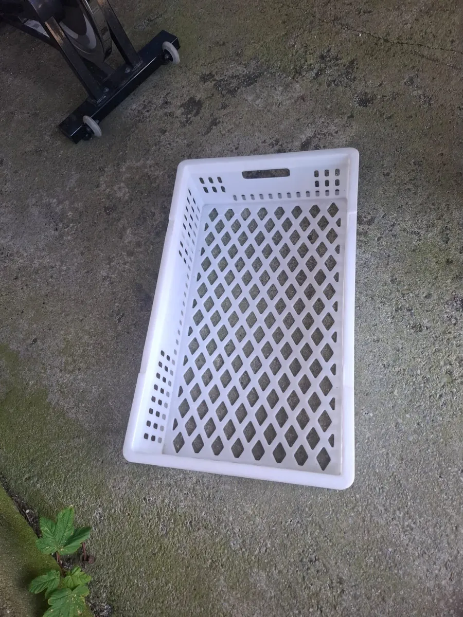 Catering trays - Image 4