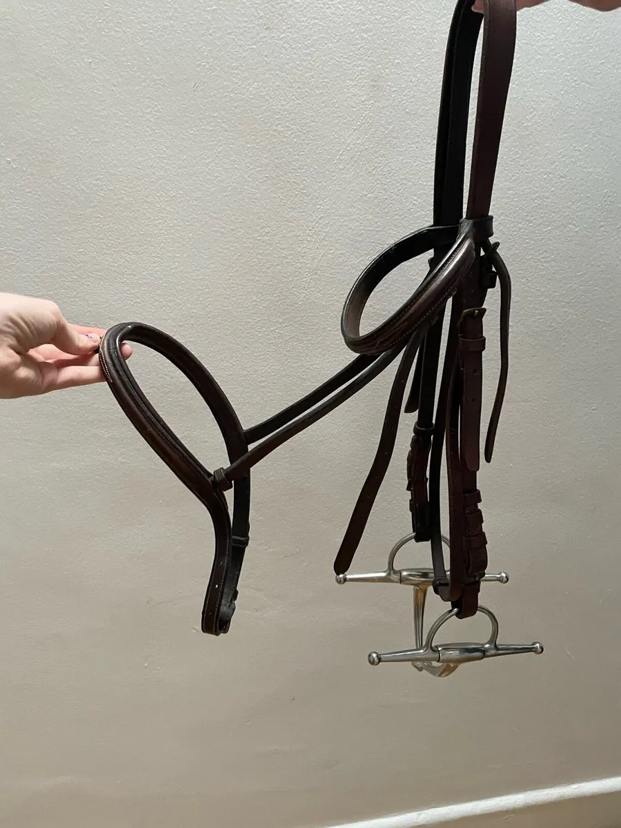 Brown bridle - Image 1