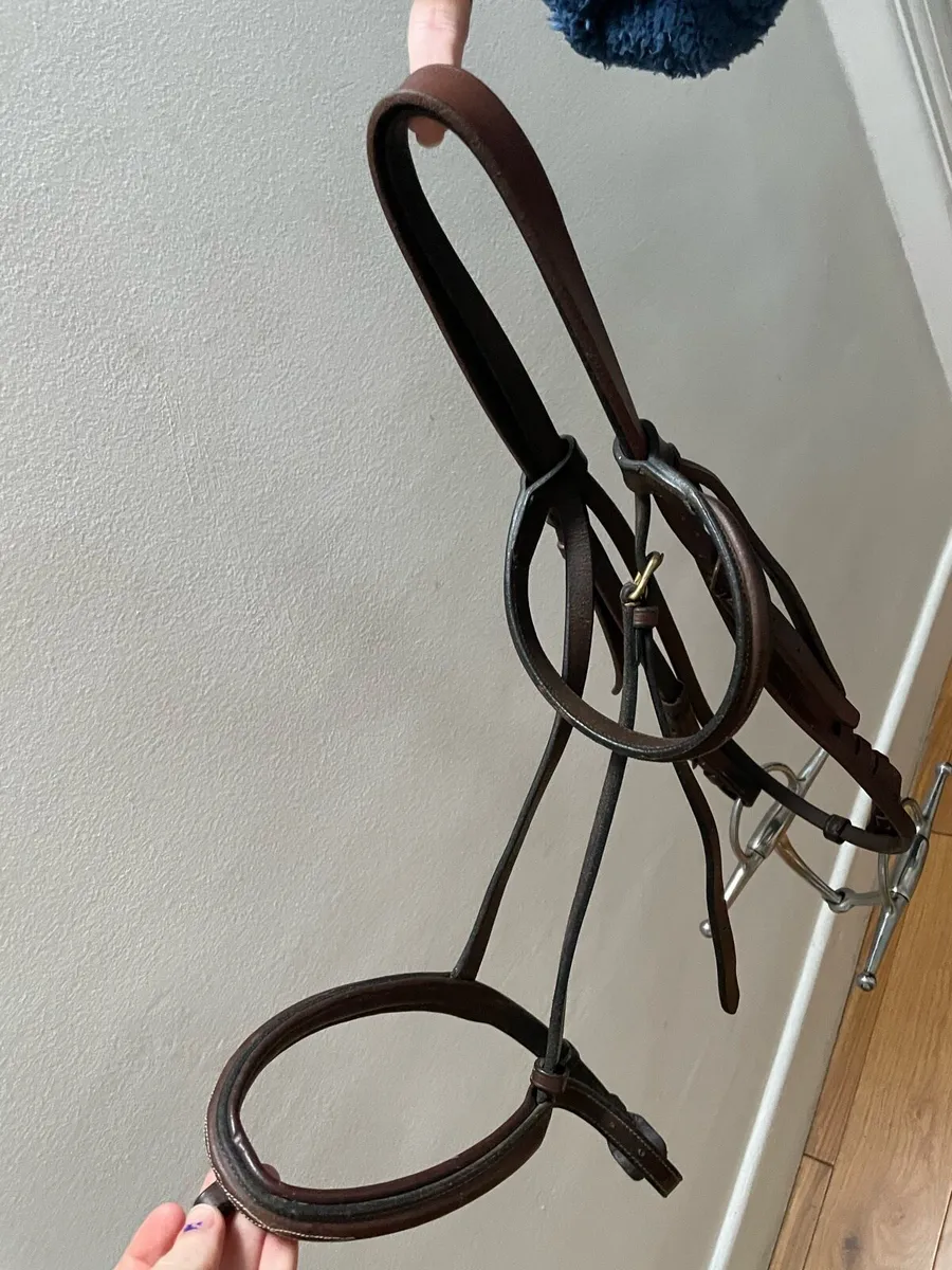 Brown bridle - Image 2