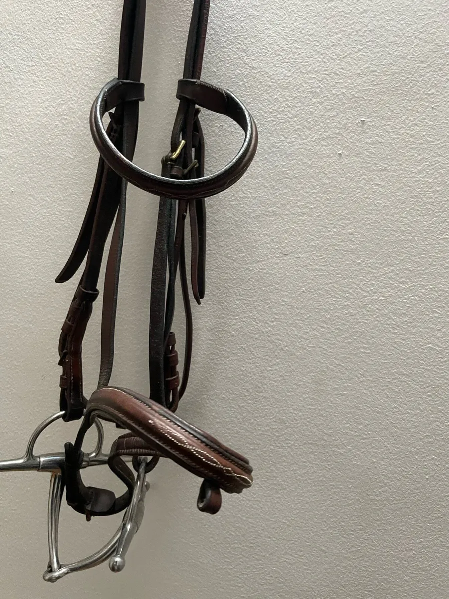 Brown bridle - Image 4