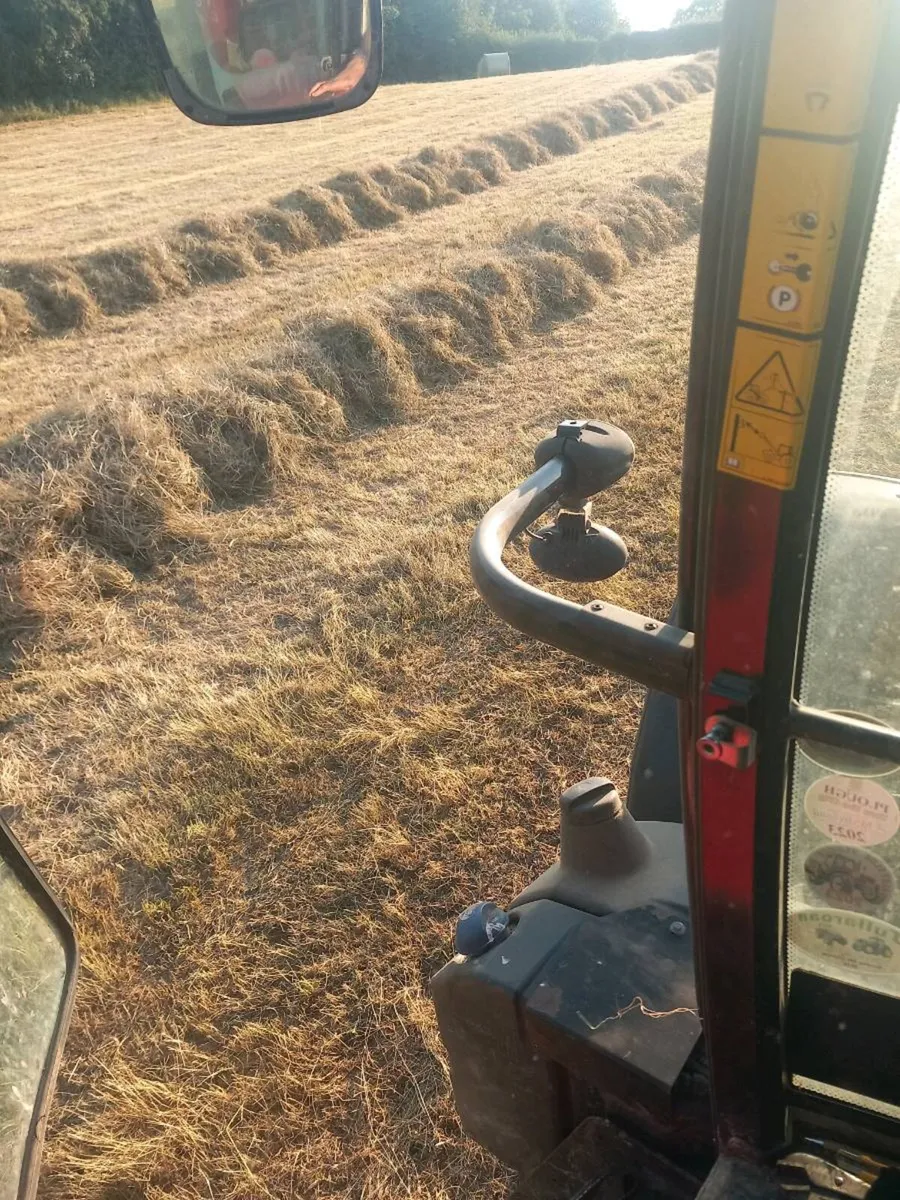 Hay - Image 4