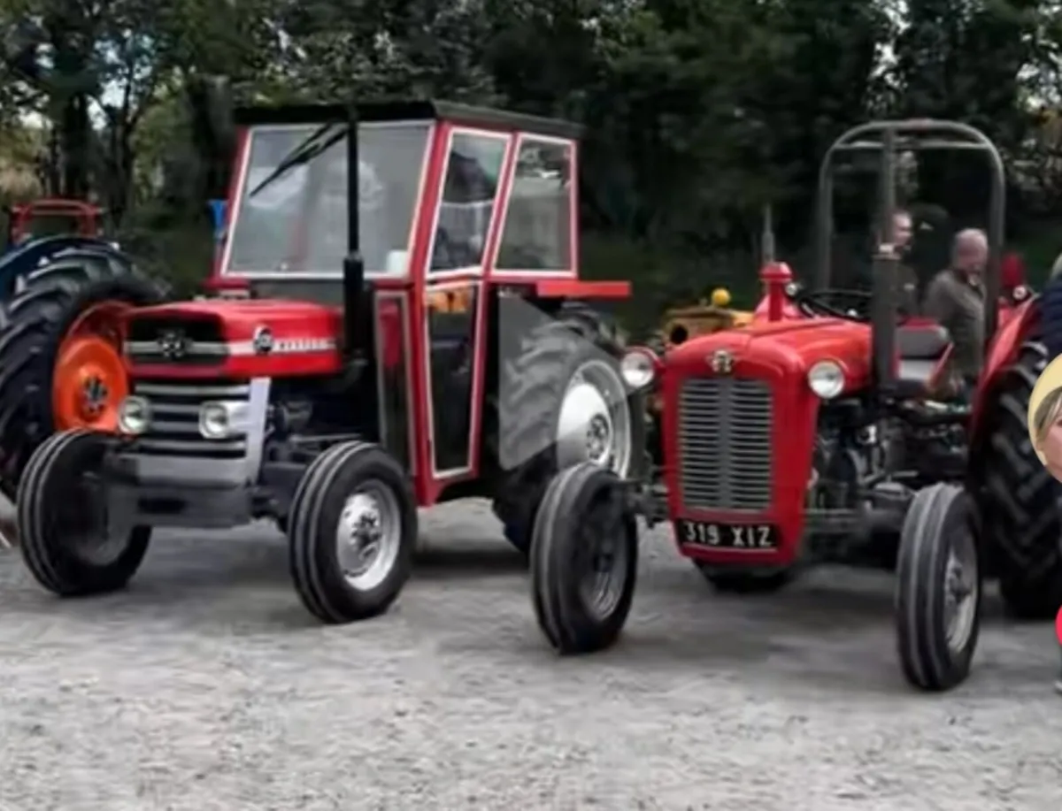Massey ferguson 35 or 20 wanted