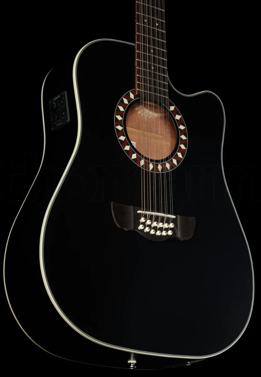 HB 12 string semi acoustic guitar - Image 3