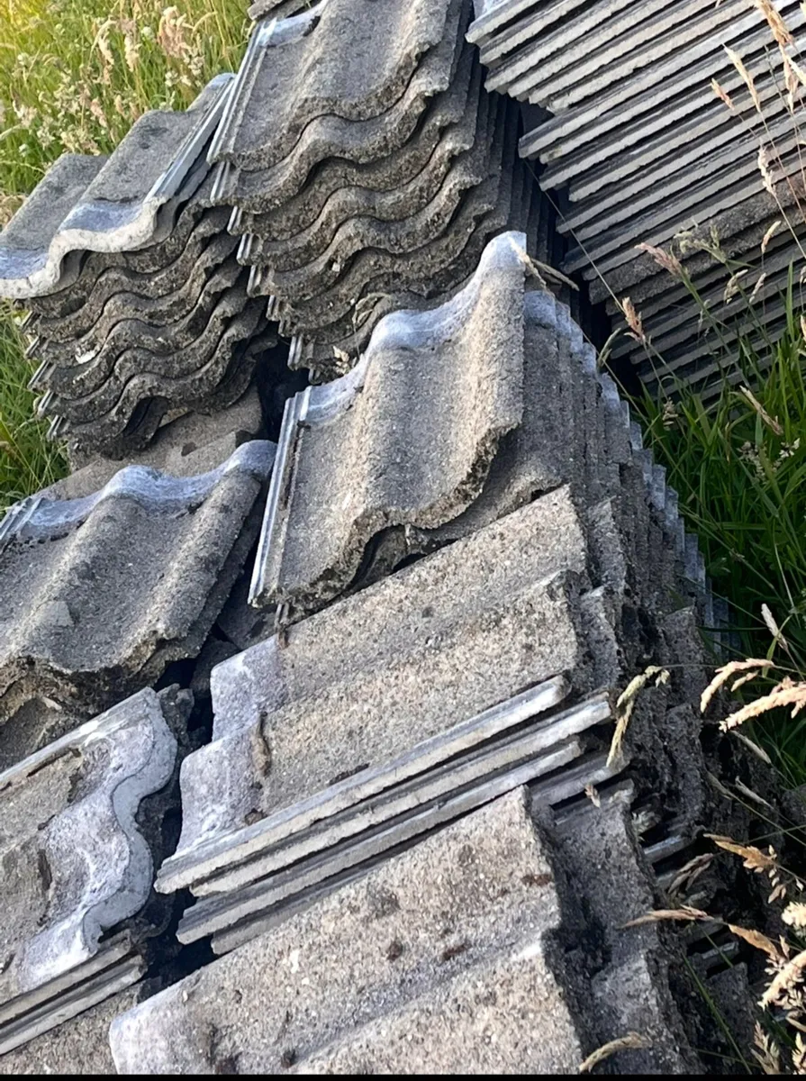 Roof tiles - Image 1