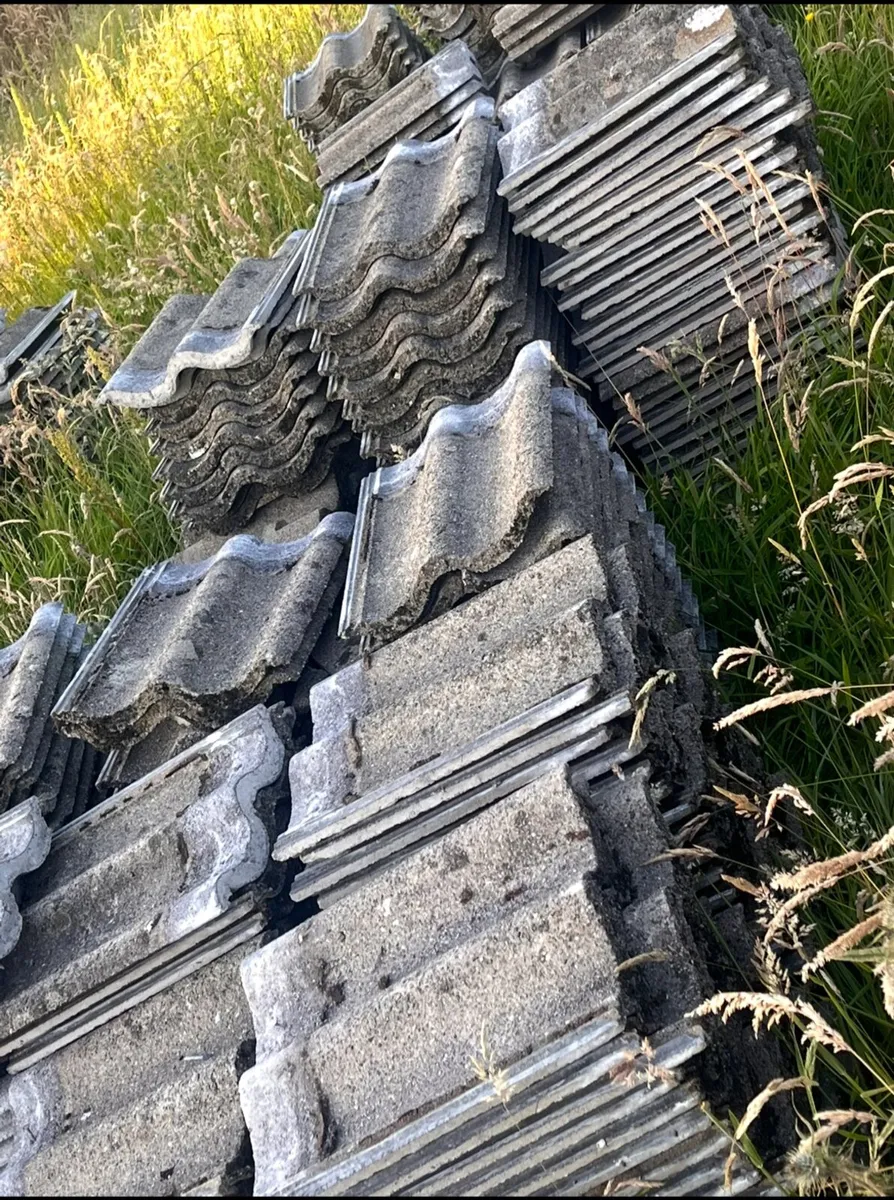 Roof tiles - Image 3