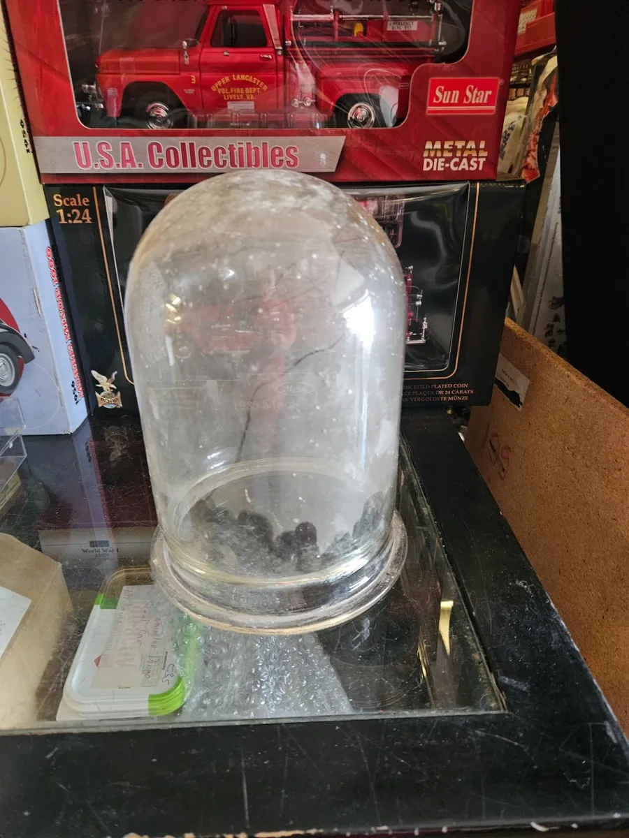 Vintage Antique Glass Dome - Image 1