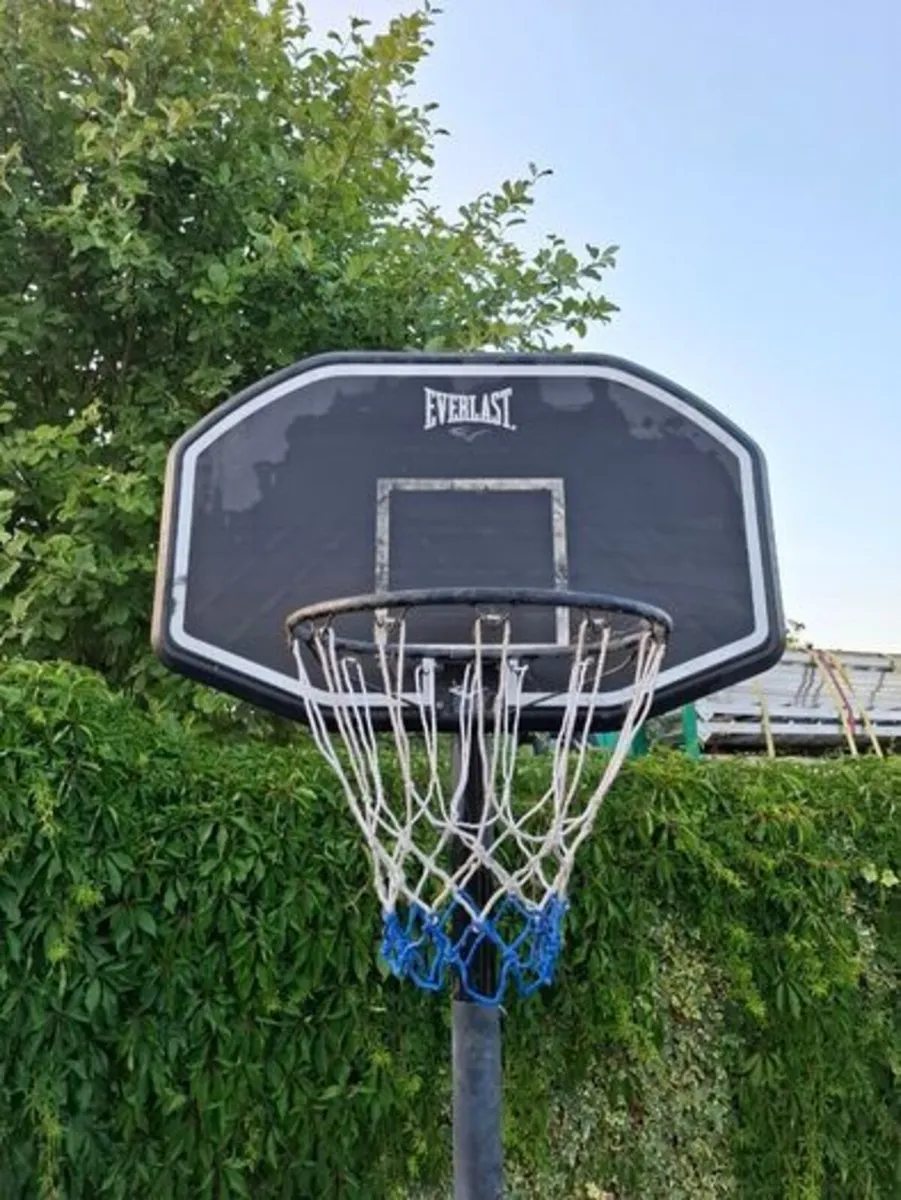 Everlast Basketball Hoop/Stand c/w 7 basket balls - Image 3