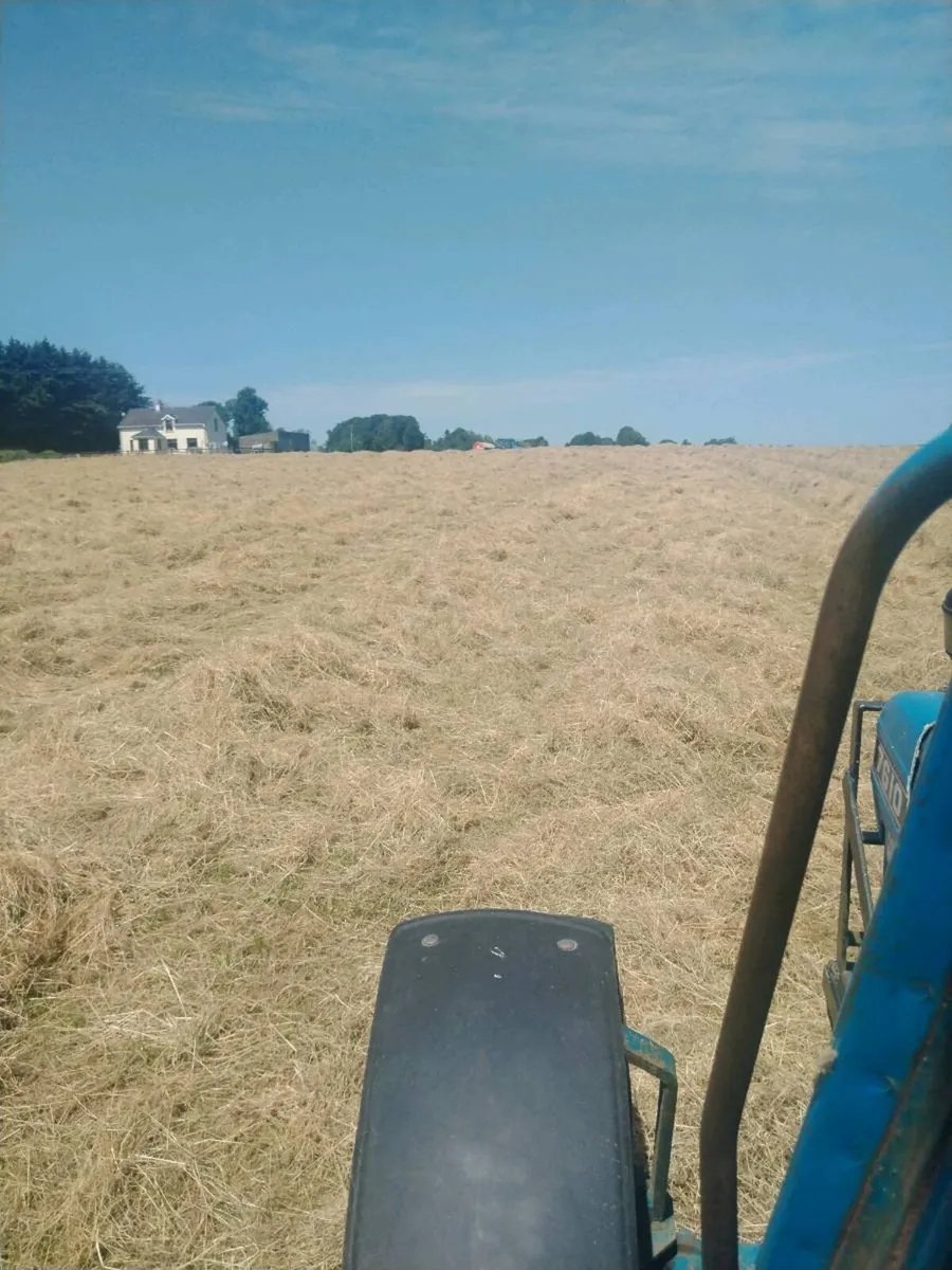 Bedding &feed - Image 4