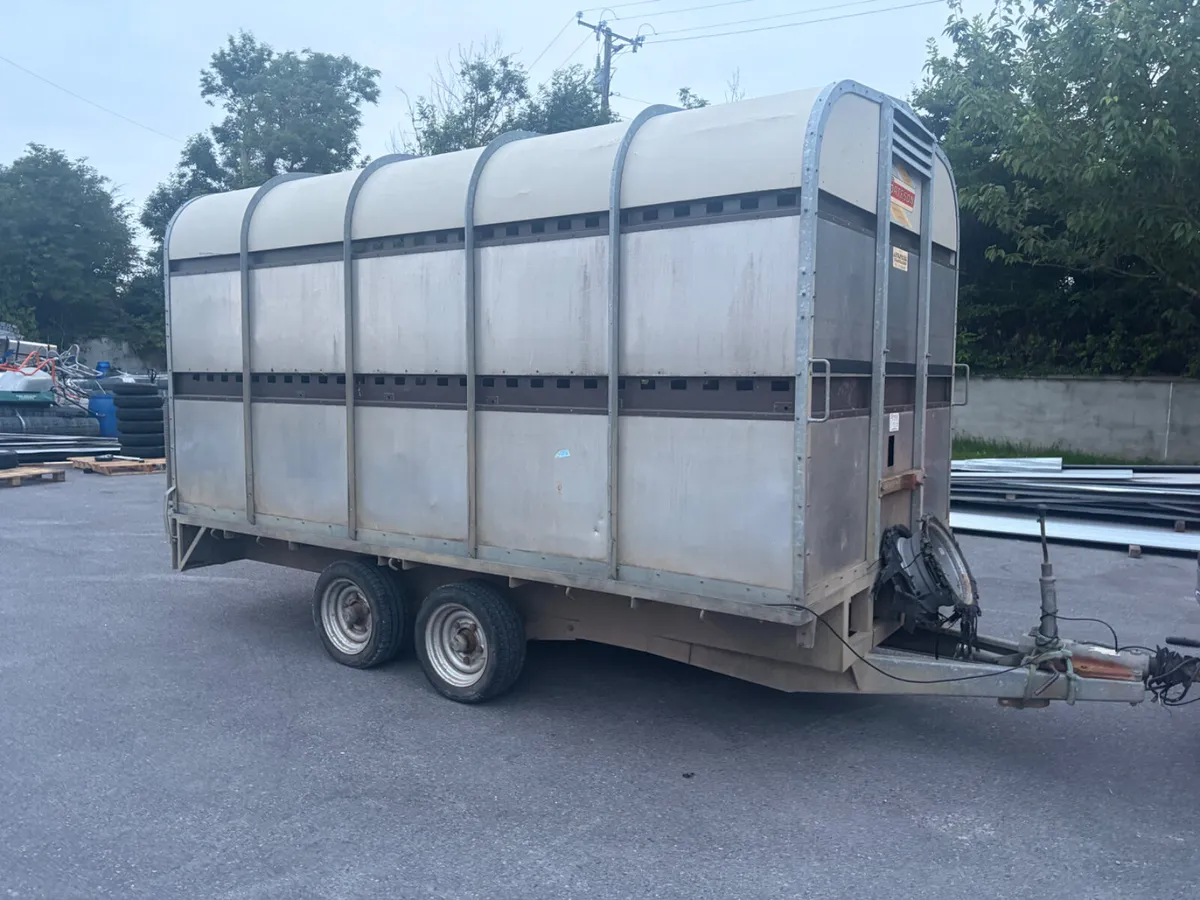 Cow box 12x6 - Image 2