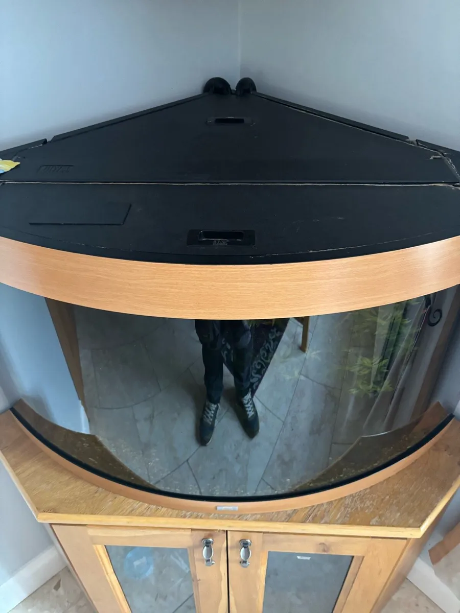 For sale - Image 2