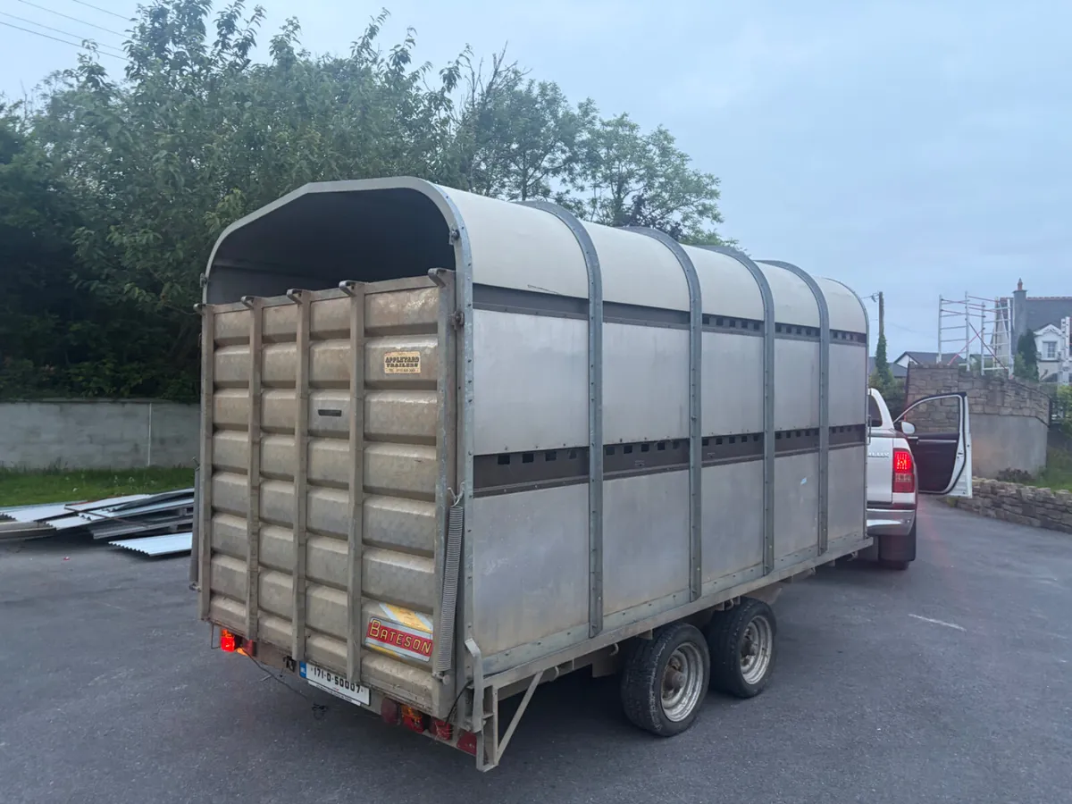 Cow box 12x6 - Image 3