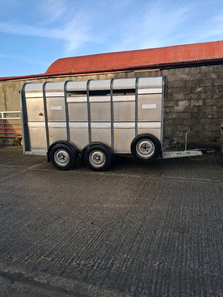 Ifor williams cattle trailer - Image 1
