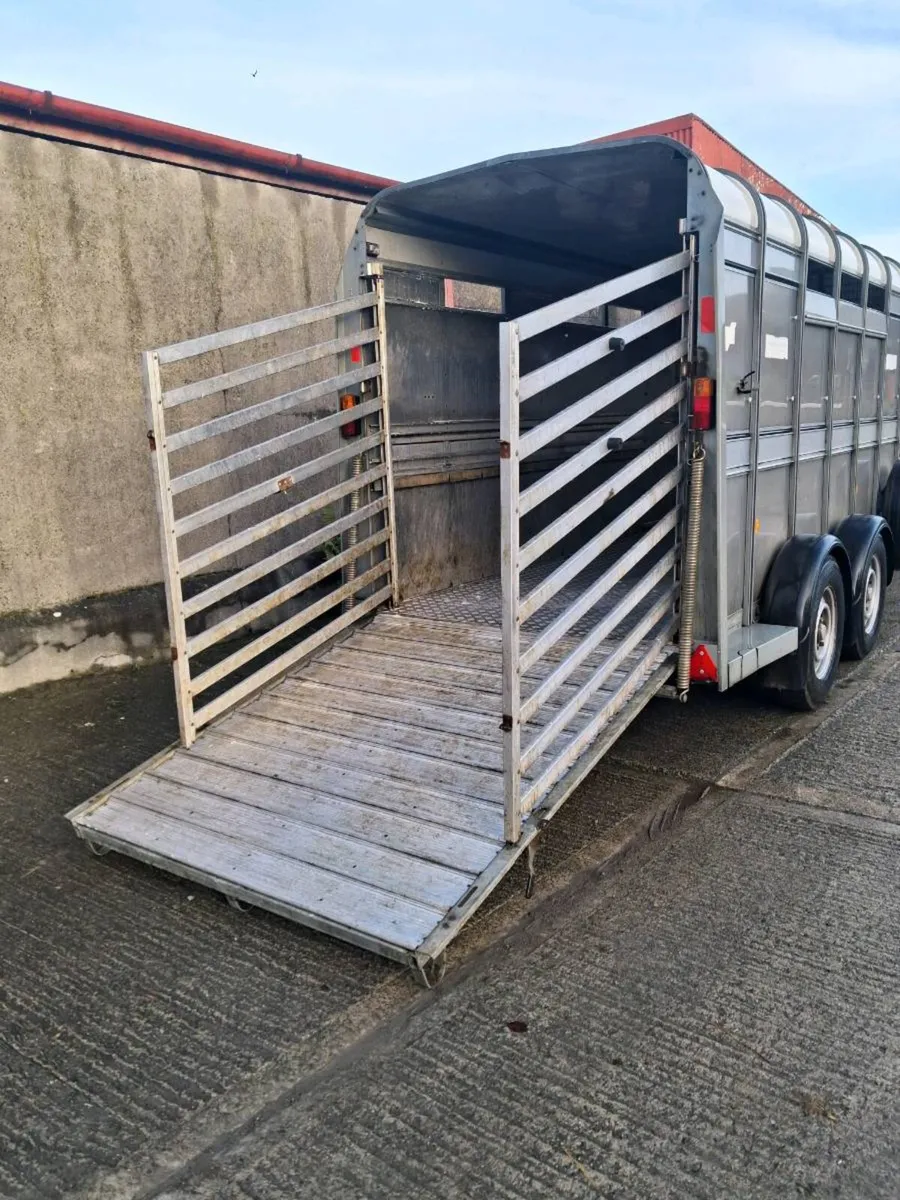 Ifor williams cattle trailer - Image 3