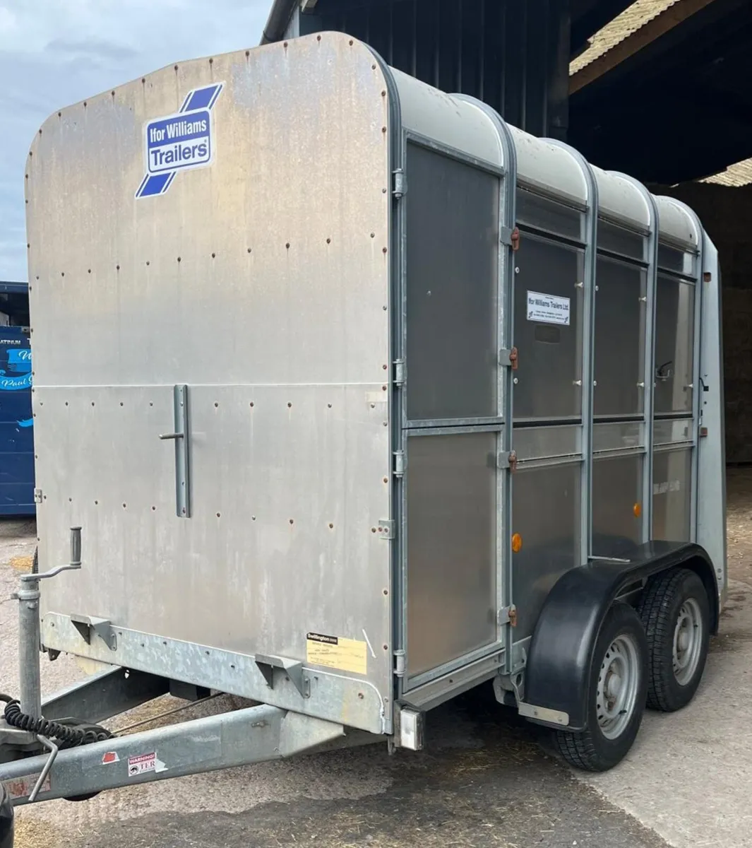 8X5 Ifor Williams livestock Trailer - Image 1