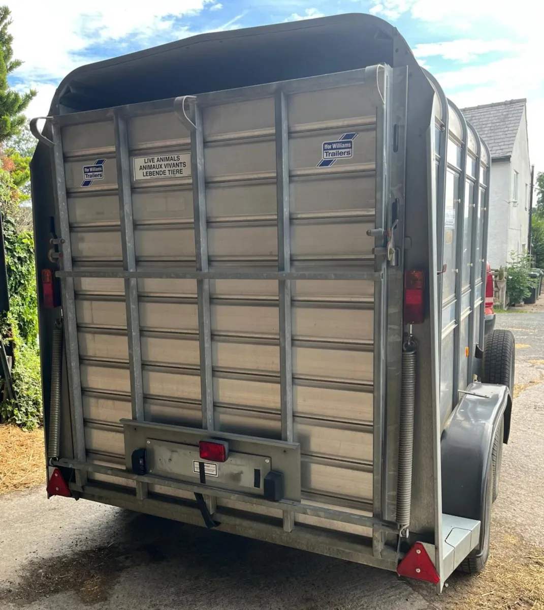 8X5 Ifor Williams livestock Trailer - Image 3
