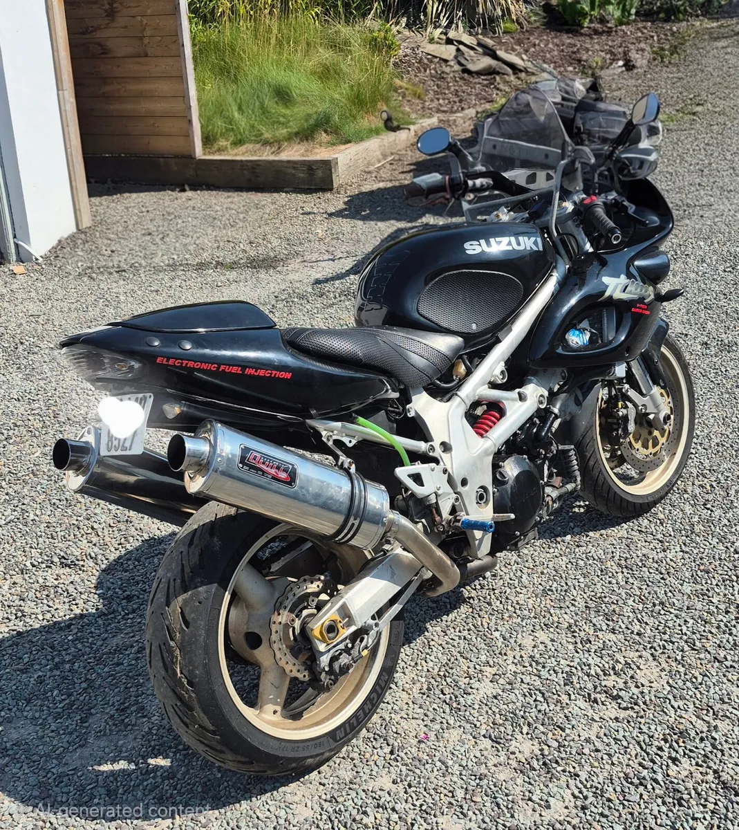 Suzuki TL1000S - Image 1